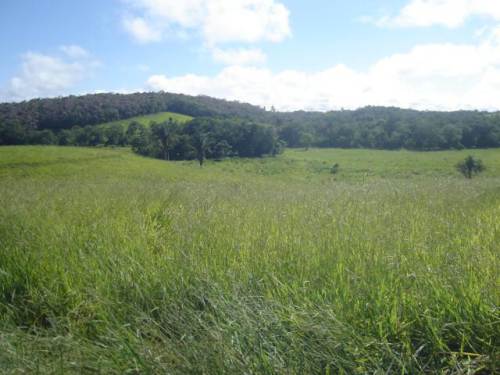 Terreno Parque Santa Rosa Suzano 