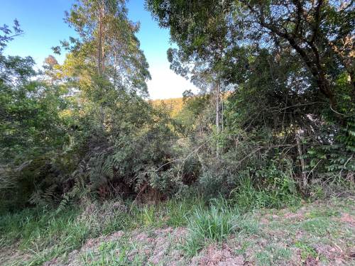 Terreno em Condomínio Ecoville Araçariguama