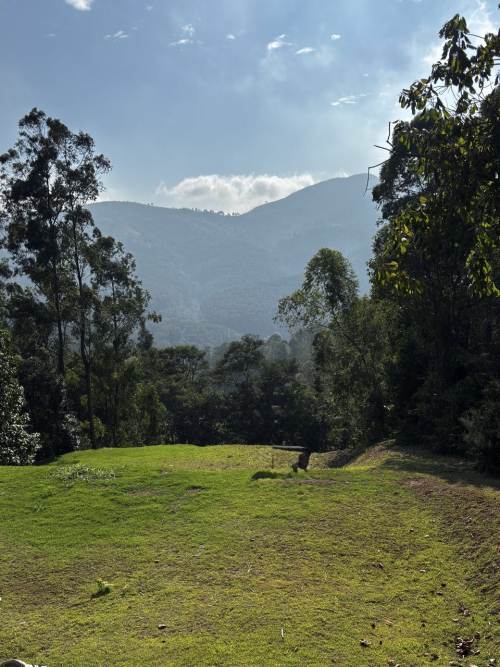 Terreno em Condomínio Ecoville Araçariguama