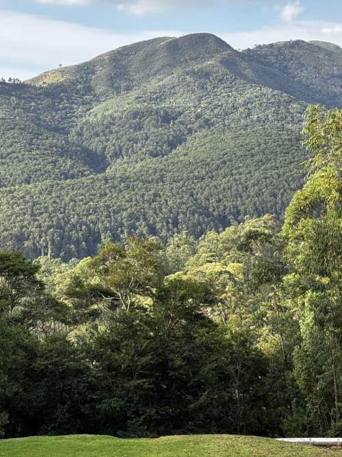 Terreno em Condomínio Ecoville Araçariguama