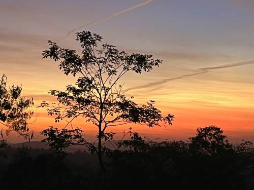 Terreno em Condomínio Ecoville Araçariguama 