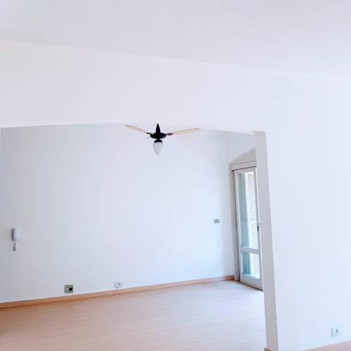 Apartamento São Jose São Leopoldo 