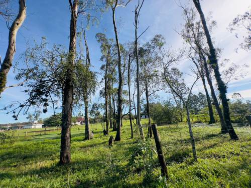 Terreno Califórnia Nova Santa Rita 