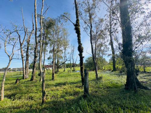 Terreno Califórnia Nova Santa Rita 