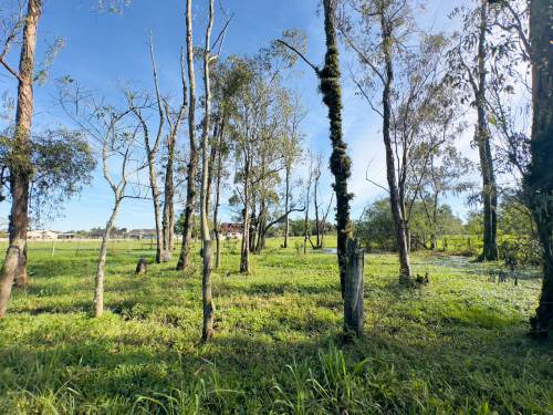 Terreno Califórnia Nova Santa Rita 