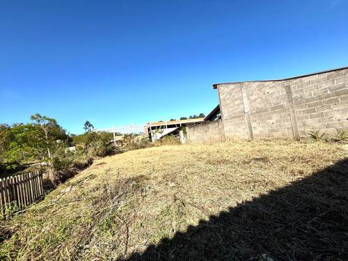 Terreno Berto Cirio Nova Santa Rita 