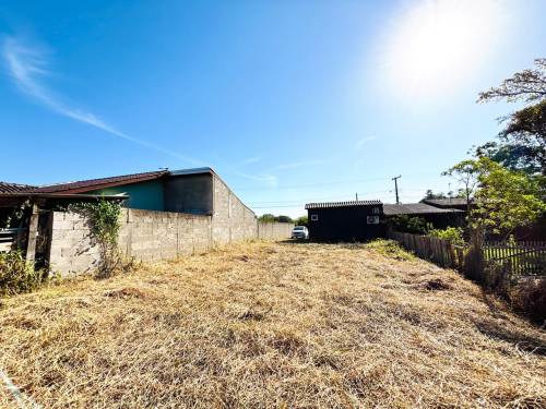 Terreno Berto Cirio Nova Santa Rita 