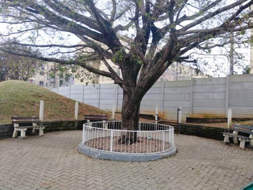 Apartamento Olária Canoas 