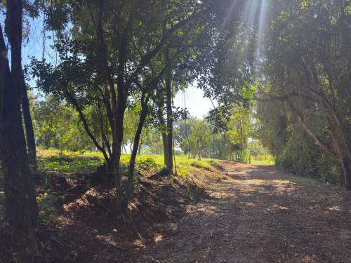 Sítio Cajú Nova Santa Rita 