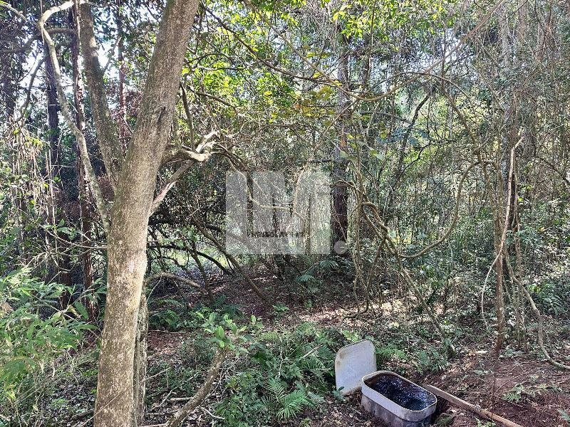 Terreno Jardim Paulista São Paulo 