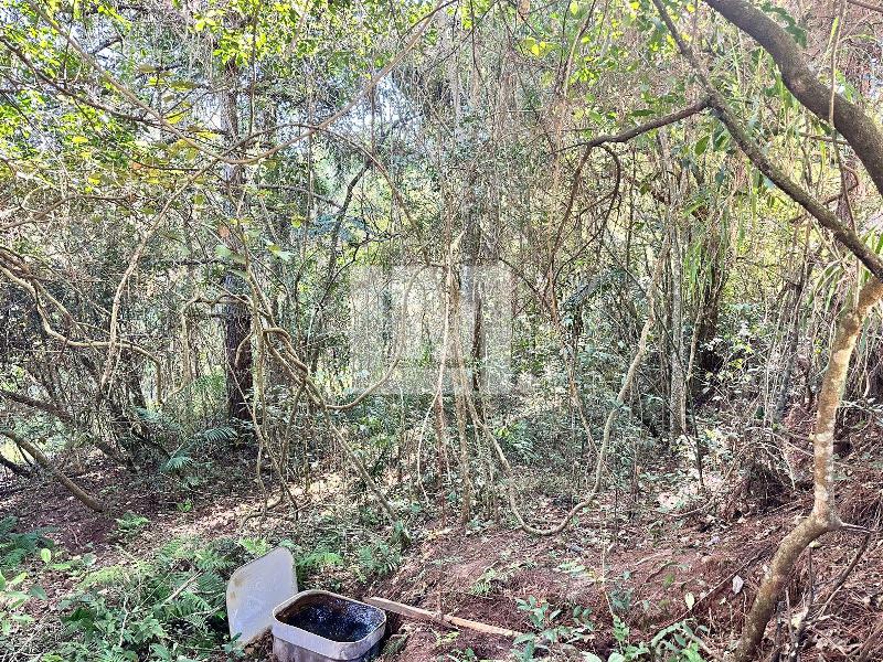 Terreno Jardim Paulista São Paulo 