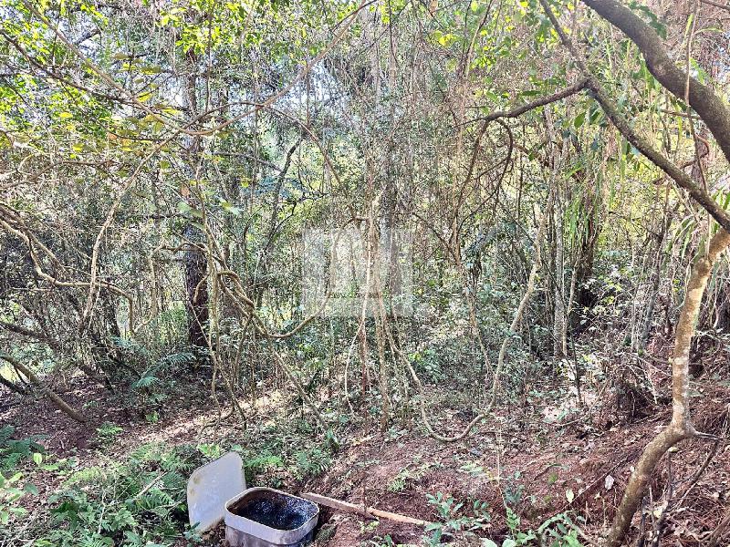 Terreno Jardim Paulista Atibaia 