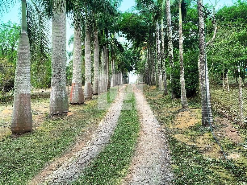 Chácara Sul Brasil Atibaia 