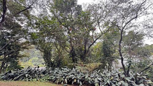 Terreno Loteamento Capital Ville Jundiaí 