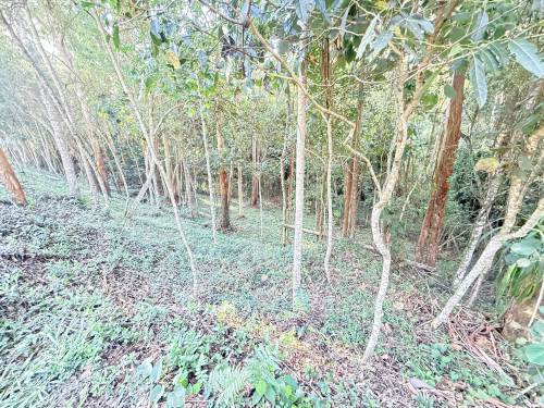 Terreno Loteamento Capital Ville Jundiaí 