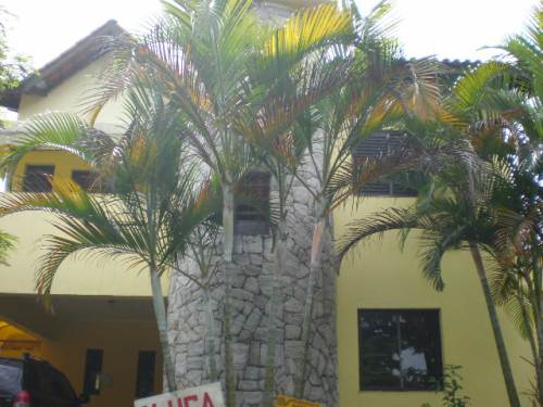 Casa em Condomínio Alphaville 05 Alphaville 