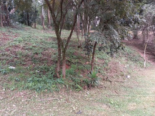 Terreno Tamboré 01 Barueri 