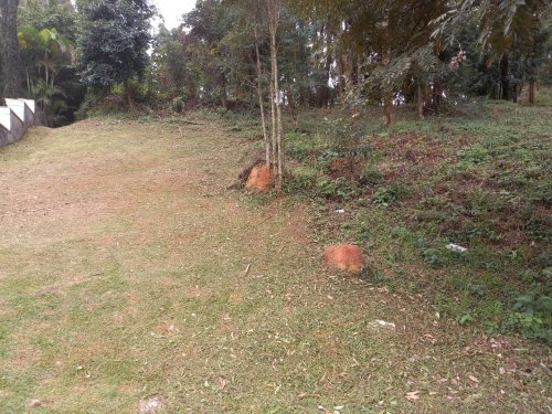 Terreno Tamboré 01 Barueri 