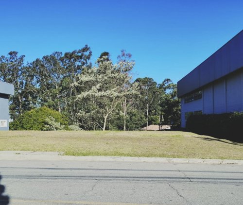Lote no Tamboré 1