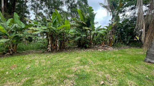 Terreno Tamboré 01 Barueri 