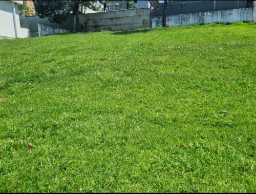 Terreno Burle Marx Santana de Parnaíba 