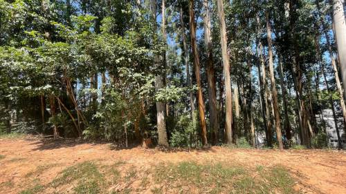 Terreno Tamboré 01 Barueri 