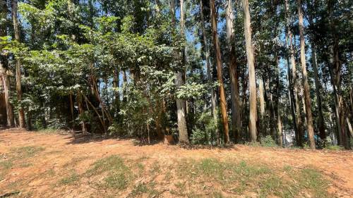 Terreno Tamboré 01 Barueri 