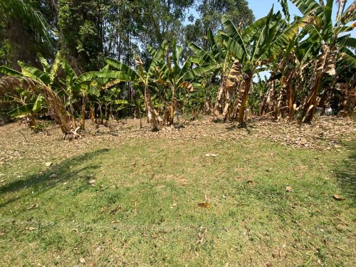 Terreno Tamboré 01 Barueri 