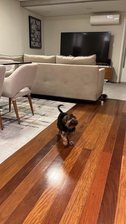 Apartamento Pinheiros São Paulo 