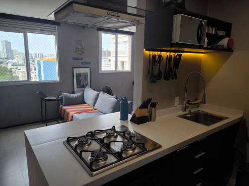 Apartamento Cambuci São Paulo 