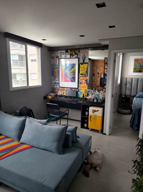 Apartamento Cambuci São Paulo 