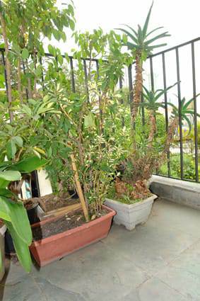 Apartamento Vila Mariana São Paulo 