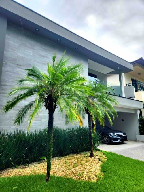 Casa em Condomínio Alphaville Santana de Parnaíba 