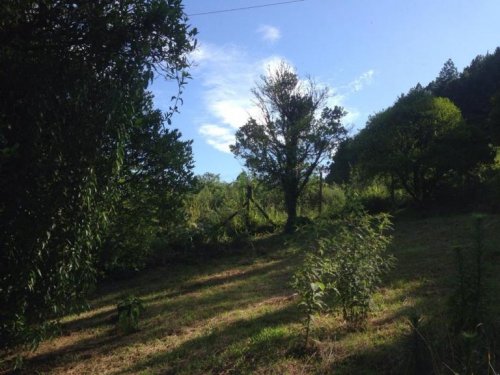 Casa Bairro Três Pinheiros - Gramado 