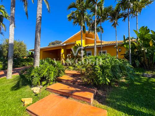 Casa Palm Park Holambra 