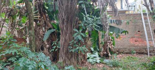 Terreno Nossa Senhora das Graças Canoas 