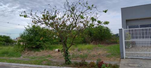 Terreno Paradis Canoas 