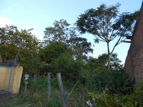 Terreno Centro Canoas 